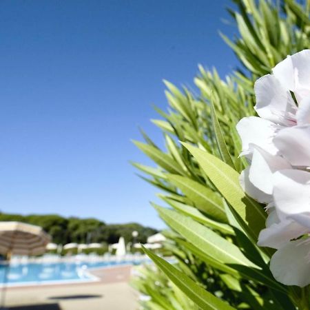 Isa-Apartments 4 Beds In Residence With Swimming-Pool In San Vincenzo, Just 600 Meters From The Sea Eksteriør billede