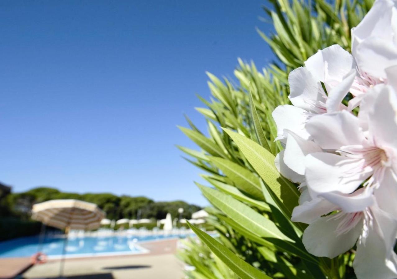 Isa-Apartments 4 Beds In Residence With Swimming-Pool In San Vincenzo, Just 600 Meters From The Sea Eksteriør billede